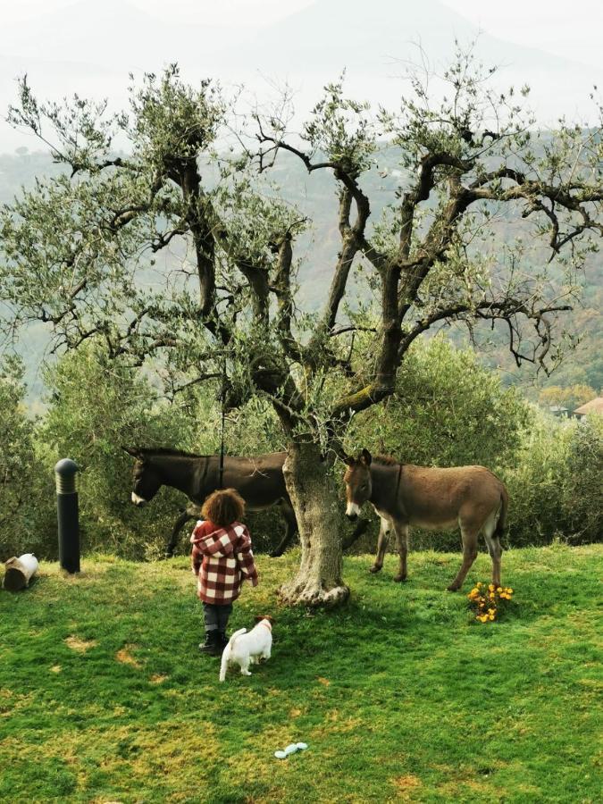 Holiday House Petrarca アルクァ・ペトラルカ エクステリア 写真