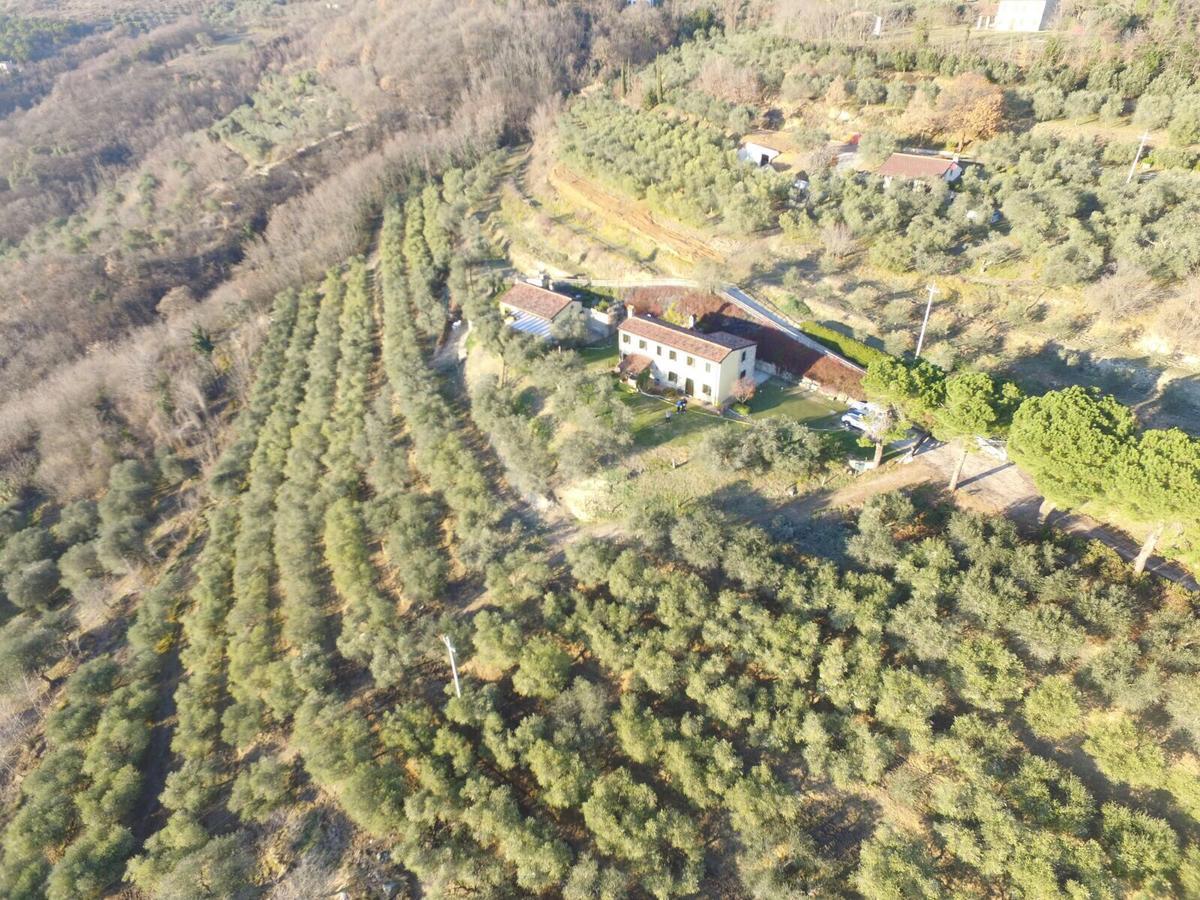 Holiday House Petrarca アルクァ・ペトラルカ エクステリア 写真