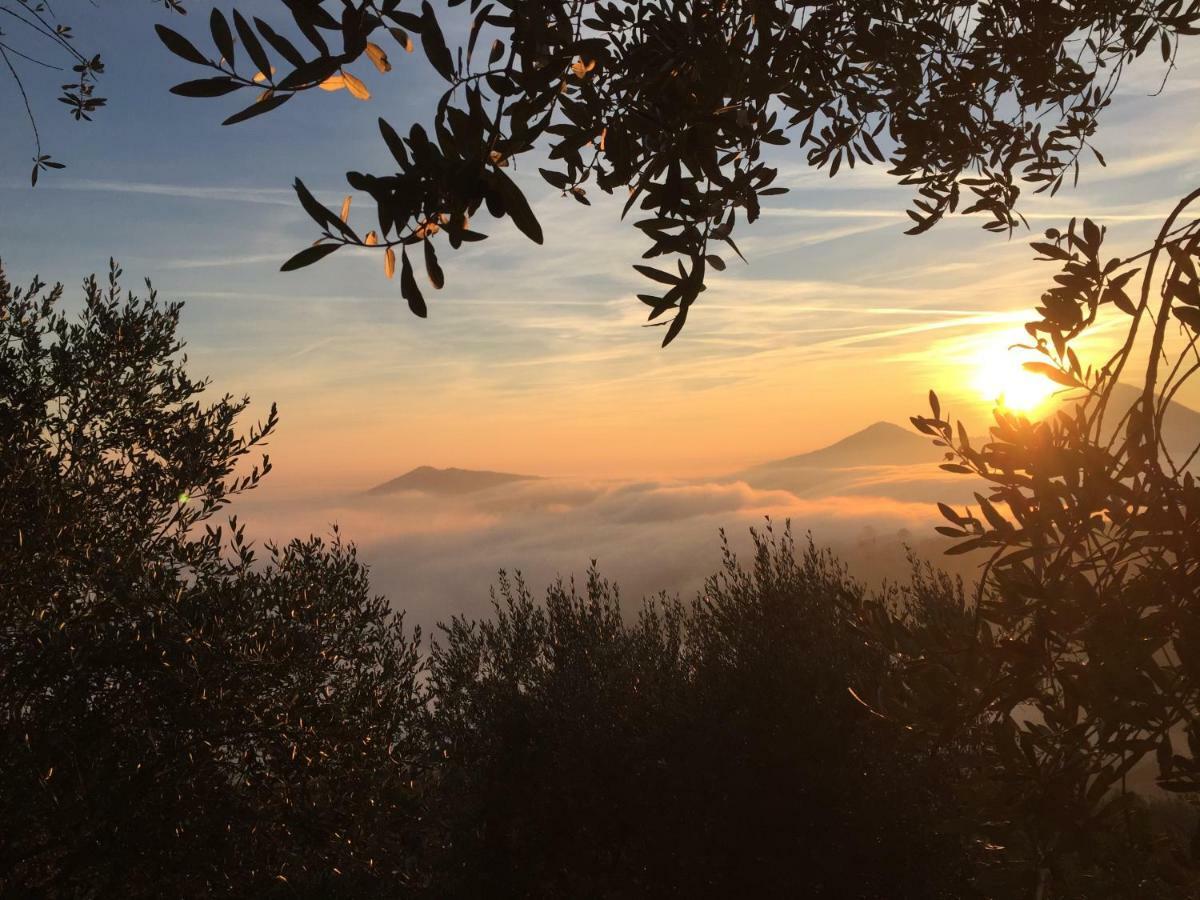 Holiday House Petrarca アルクァ・ペトラルカ エクステリア 写真